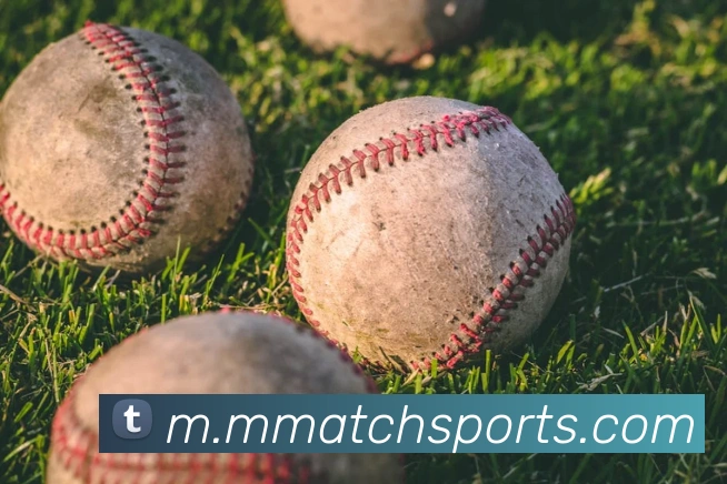 体育下注品牌故事